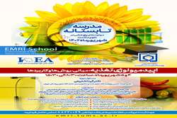 برگزاری سه کارگاه در مدرسه تابستانه